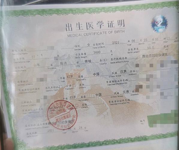 代孕孩子的户口